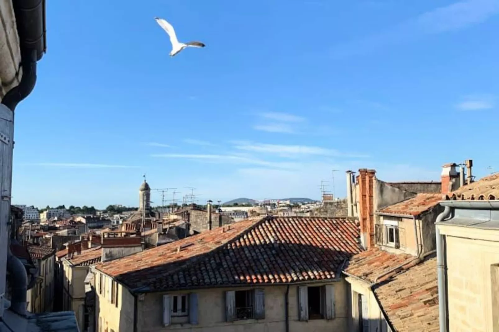 Les Toits De L'argenterie-Image-tags.