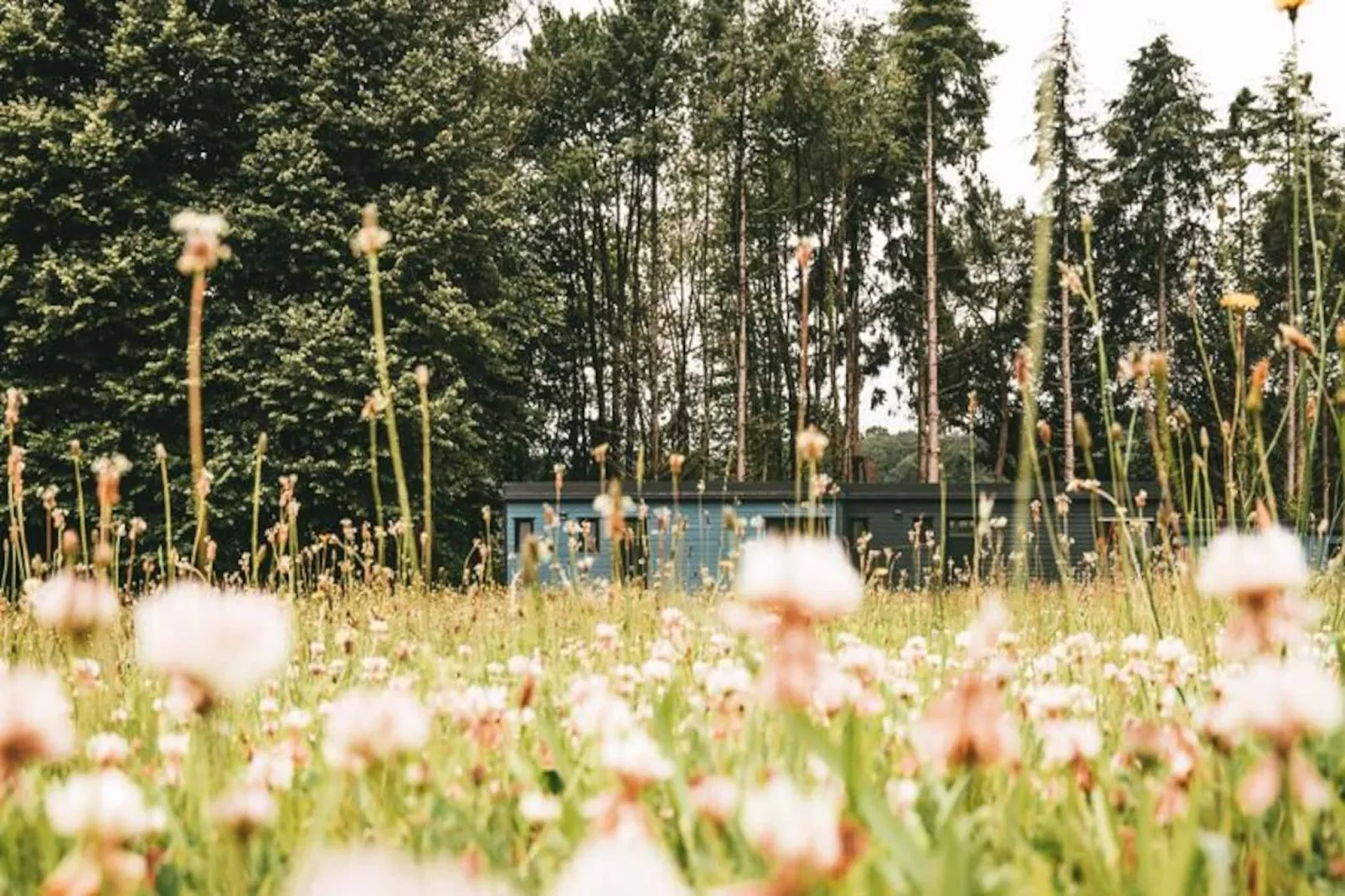 Résidence du Domaine du Moulin Neuf-Image-tags.