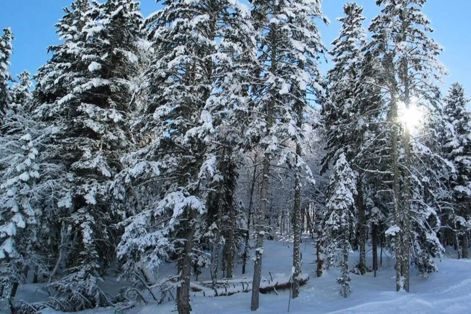 Résidence Pre De Camille-Eetkamer