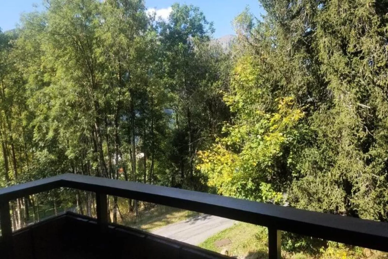 Résidence Le Yeti-Buitenkant zomer