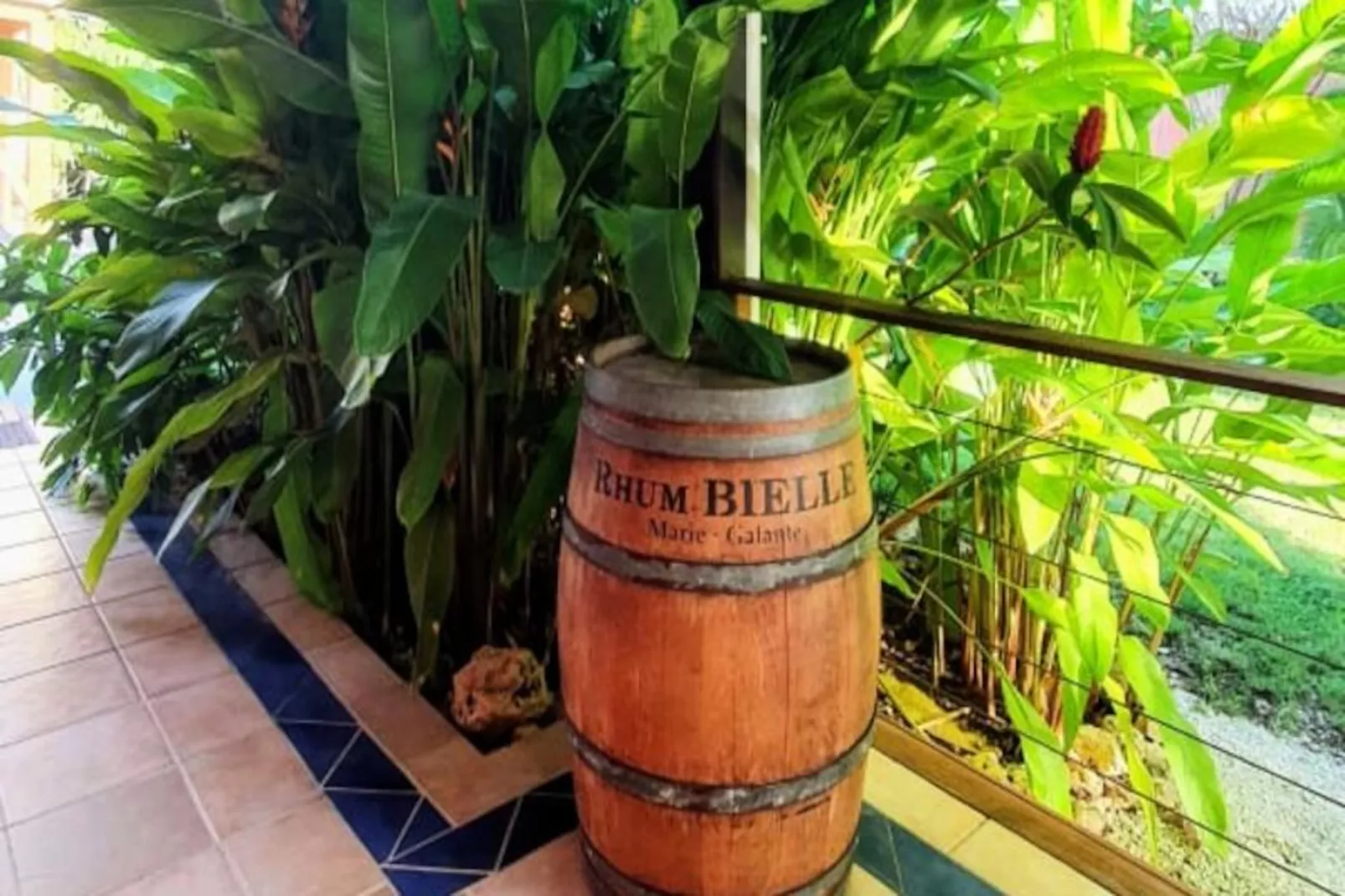 Villa La D&eacute;sirade-Image-tags.