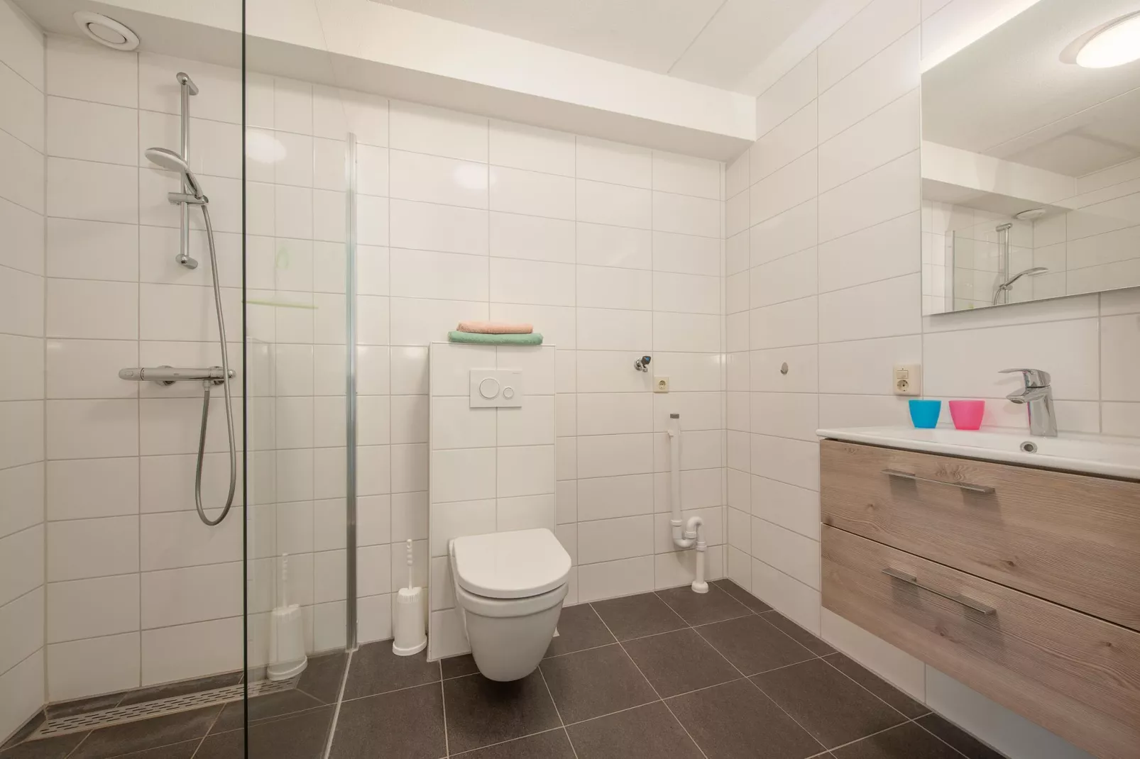 Vakantiepark de Soeten Haert 19-Badkamer