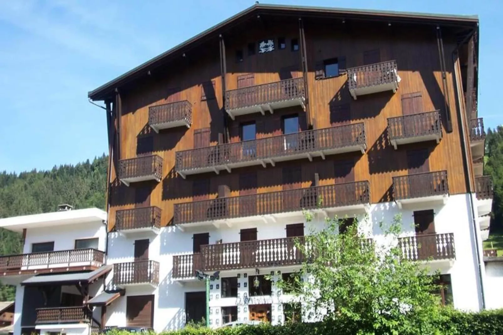 Résidence L'edelweiss-Buitenkant zomer