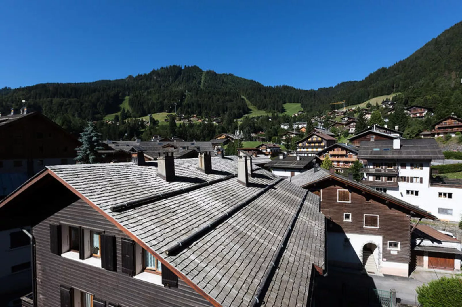 Résidence Gentianes-Uitzicht zomer