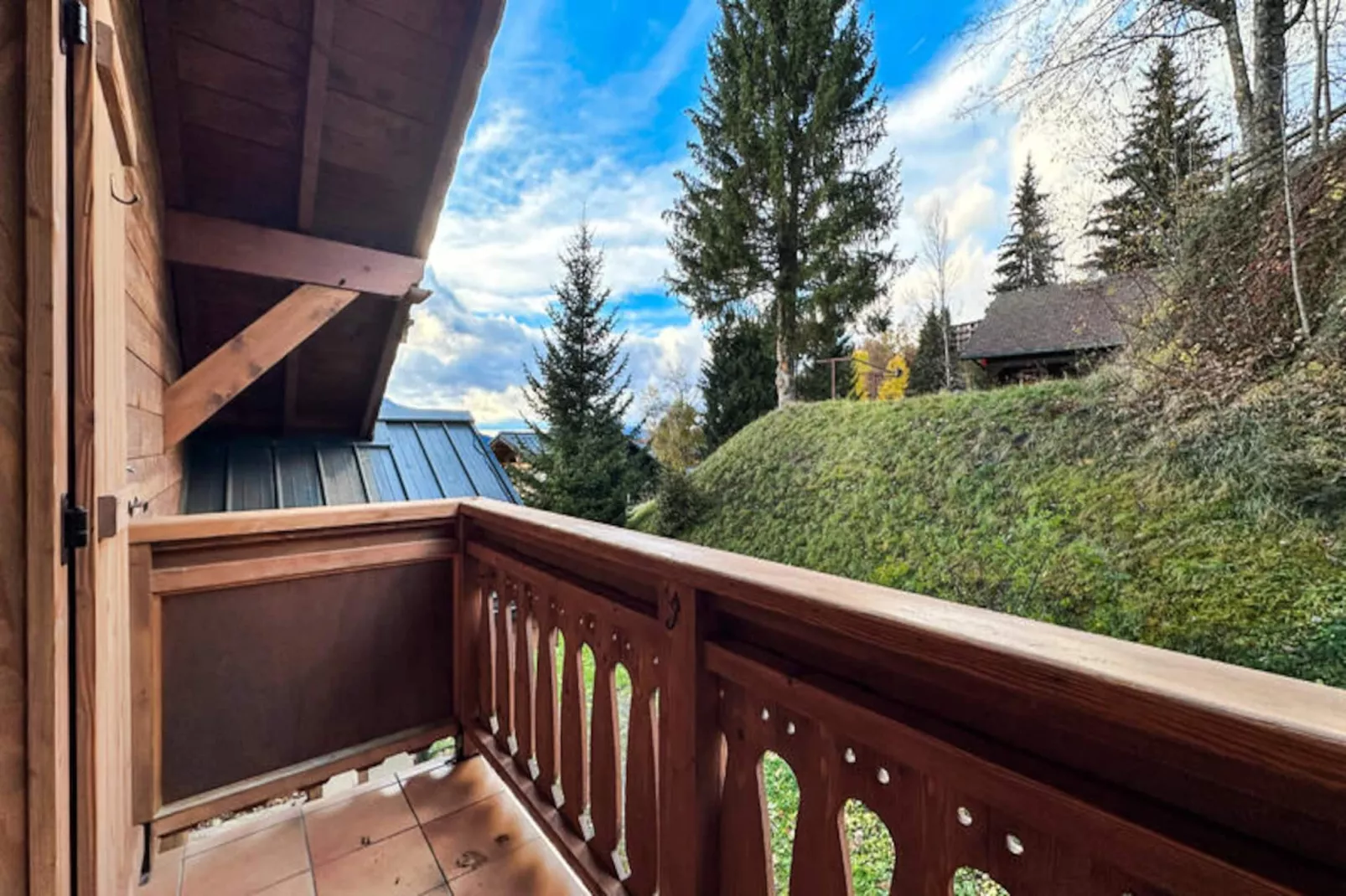 Chalets à Les Carroz-d'Arâches-Image-tags.