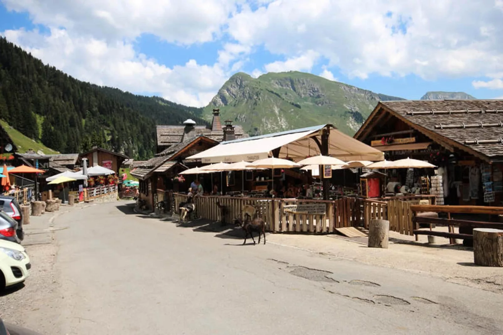 Appartements à Montriond-Gebieden zomer 1km