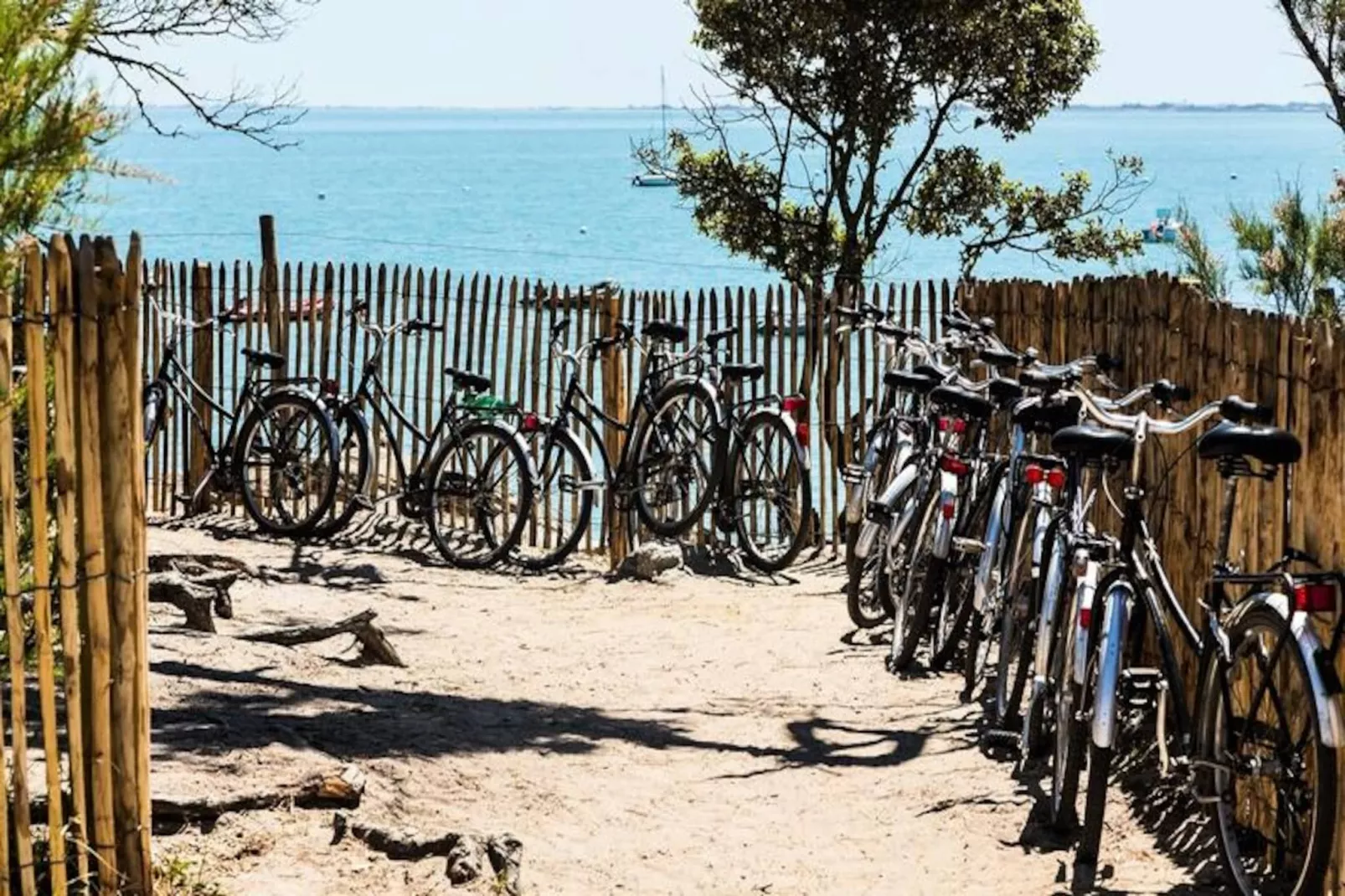 Résidence Prestige Odalys Le Domaine des Pins-Image-tags.