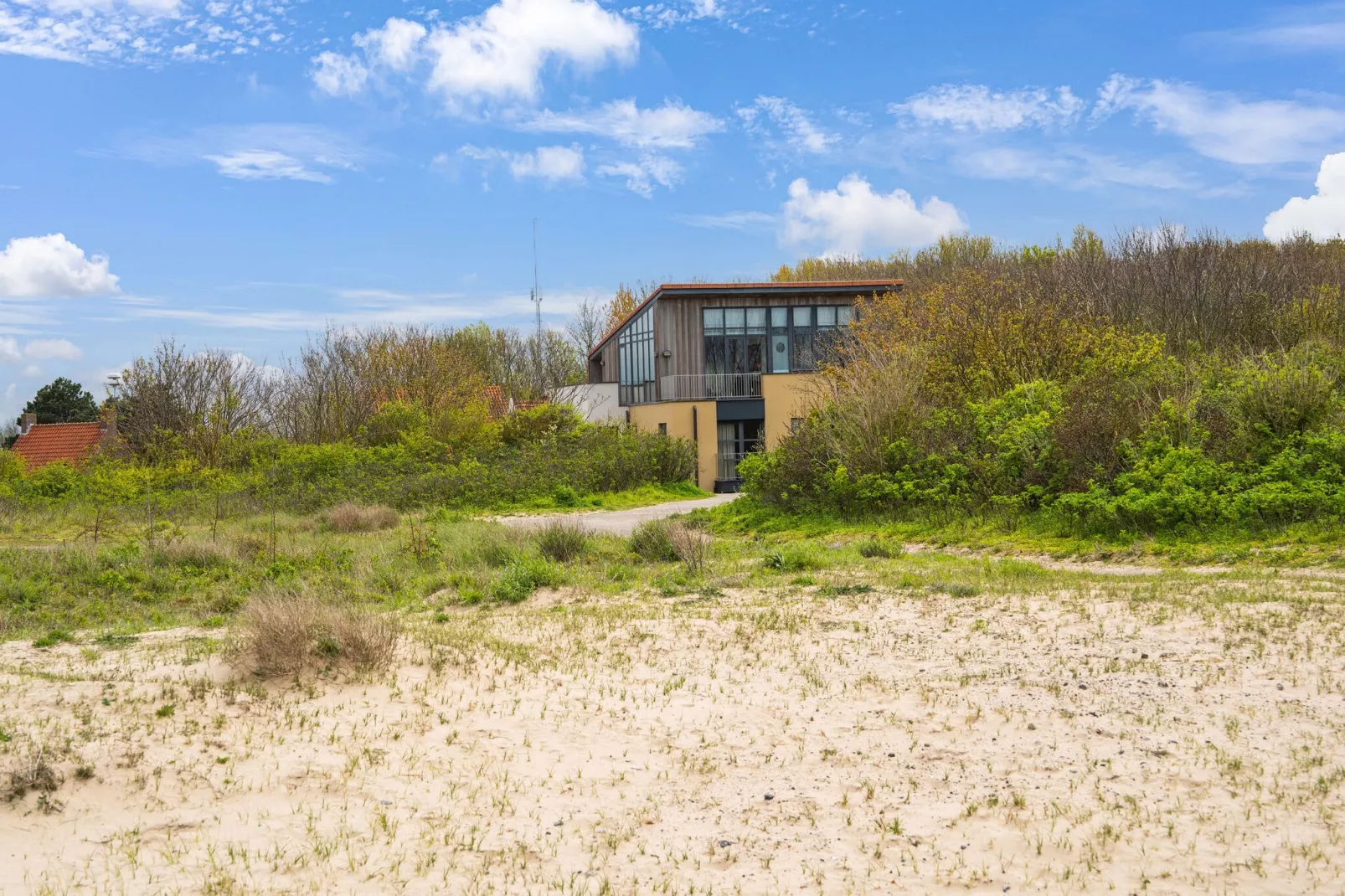 Stormvogel 1-Gebieden zomer 1km