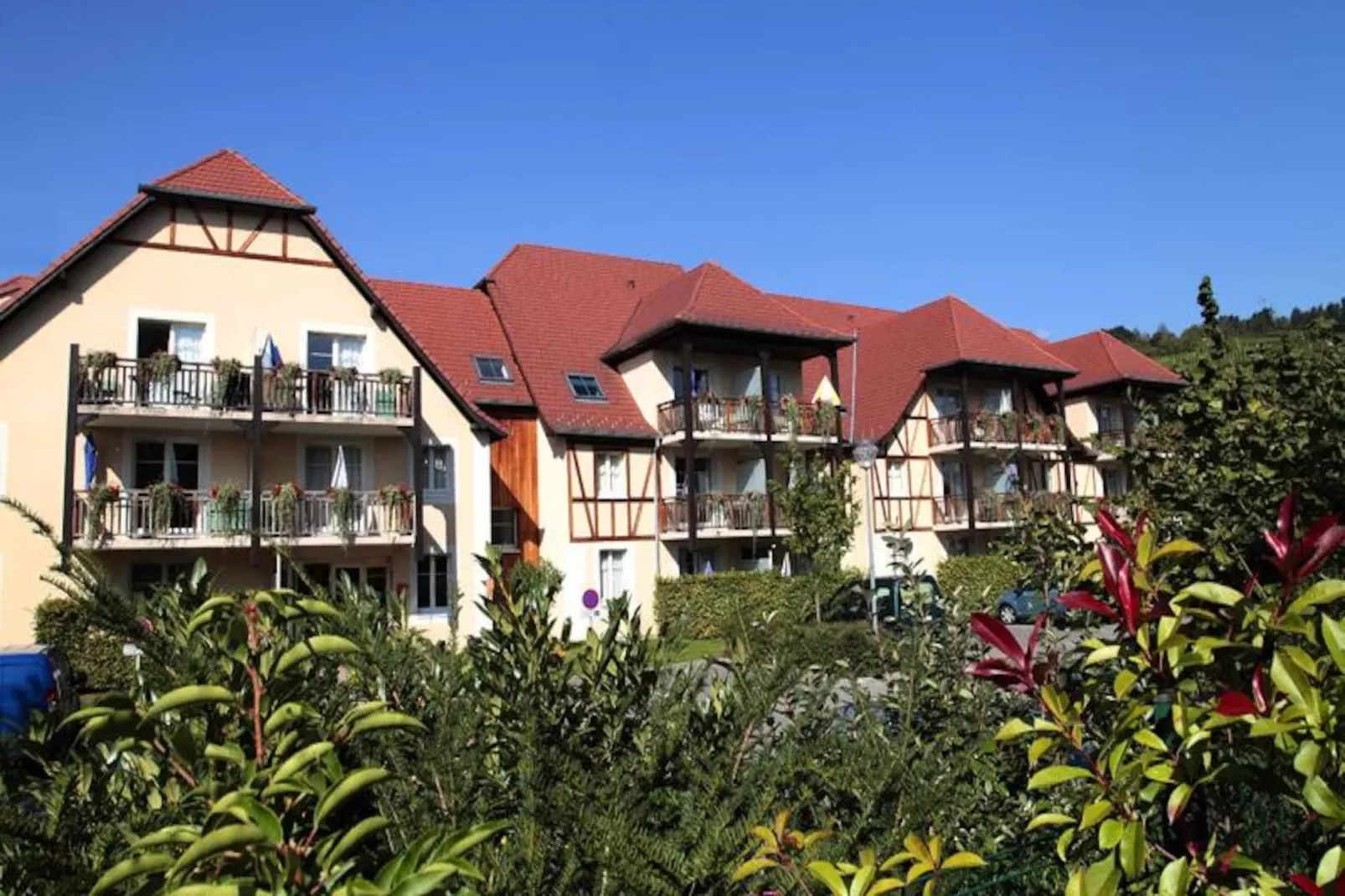 Résidence Odalys Le Domaine des Rois ***-Image-tags.