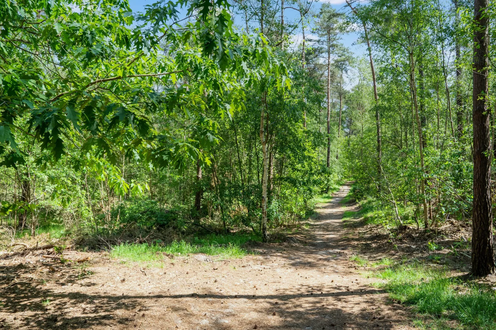 Het Haasje-Gebieden zomer 5km