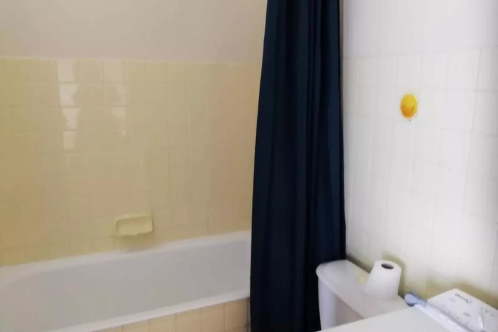 Résidence Le Jasmin-Badkamer