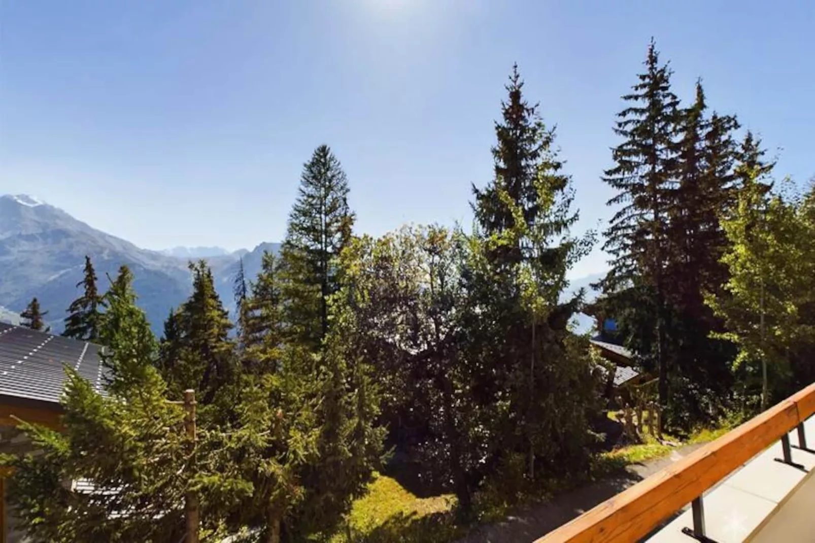 Résidence Belleface-Image-tags.