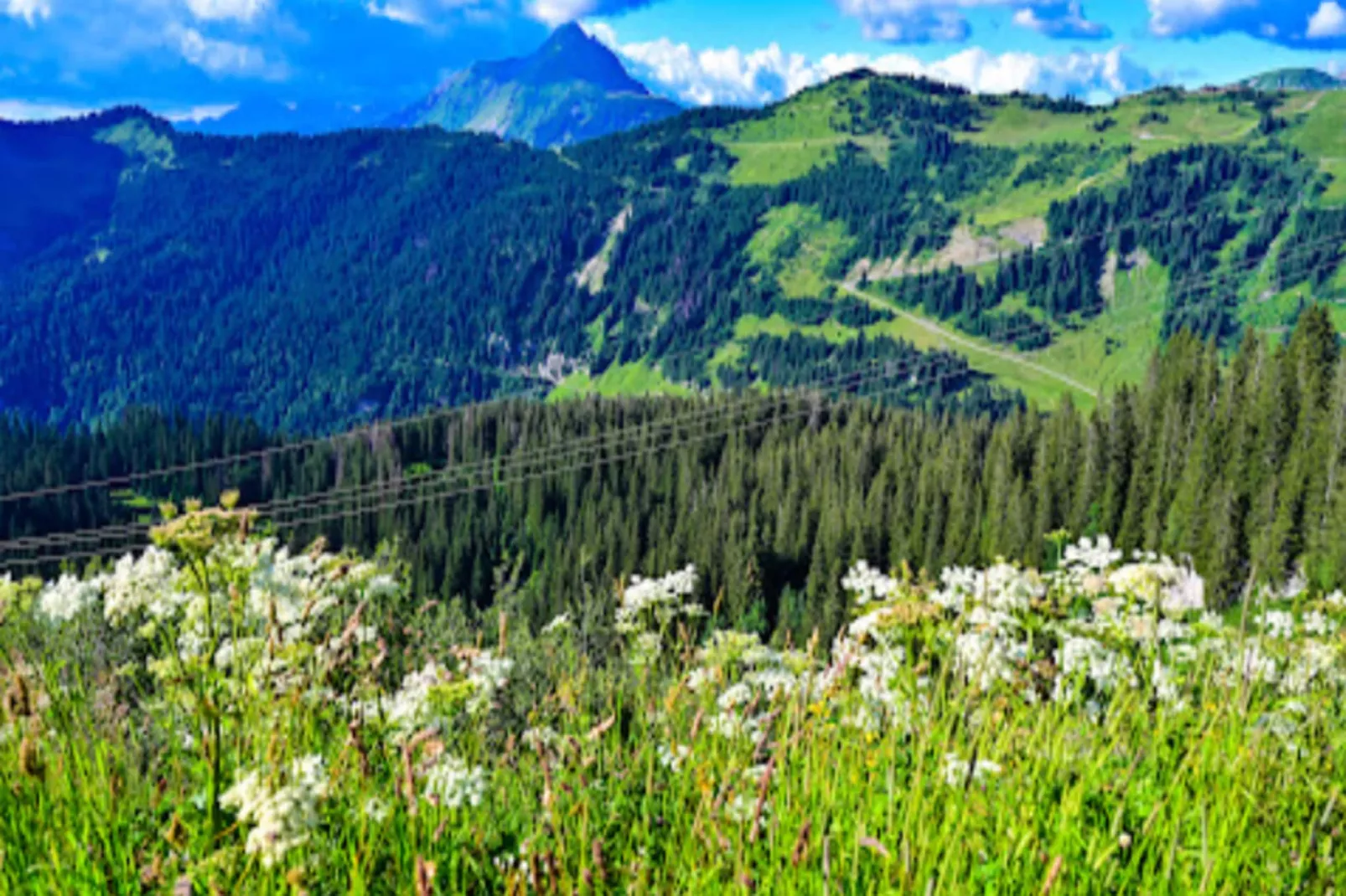 Résidence Les Portes du Soleil - maeva Home-Buitenkant zomer