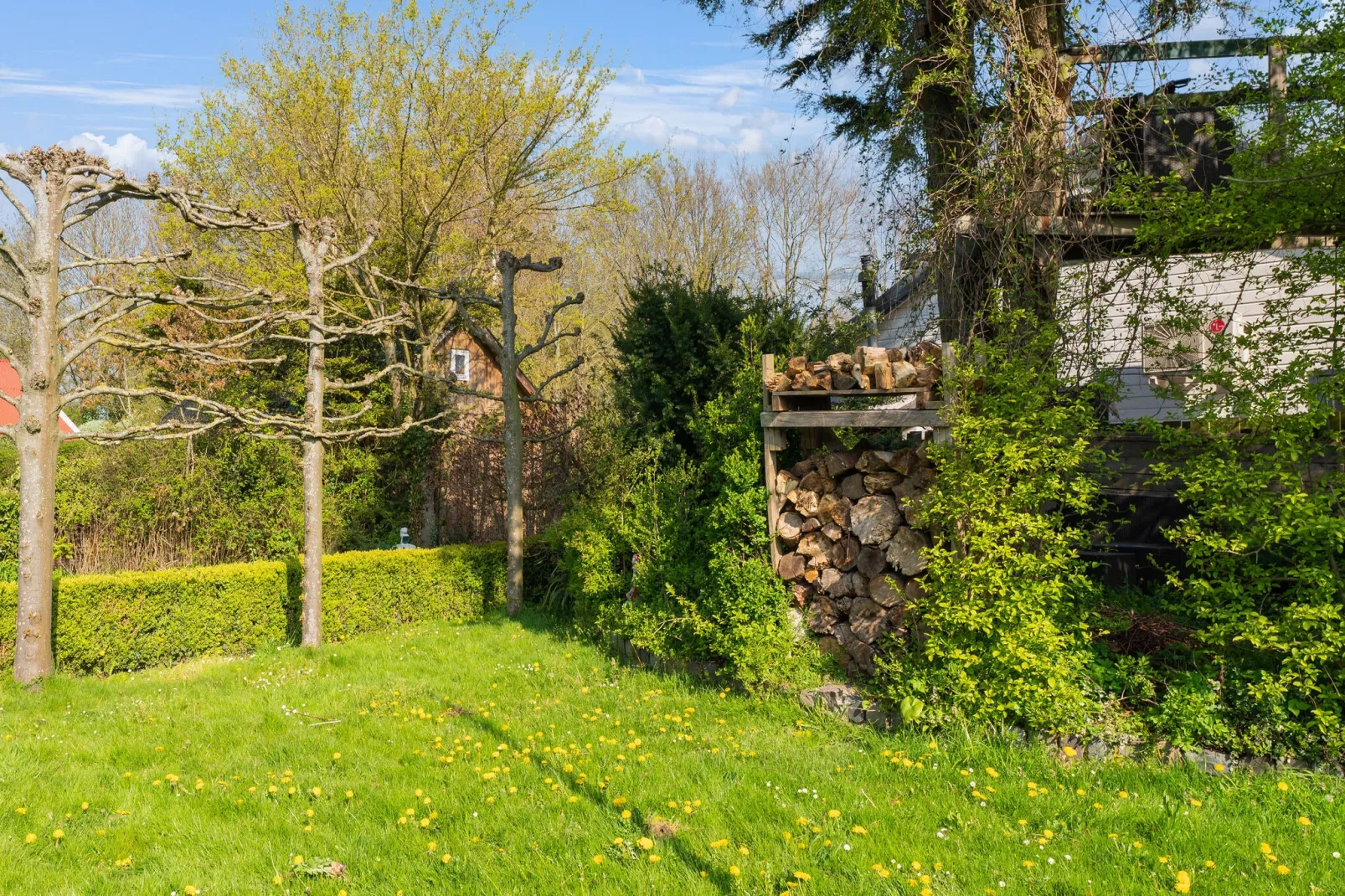 De Tjiftjaf Huis Nr 21-Tuinen zomer