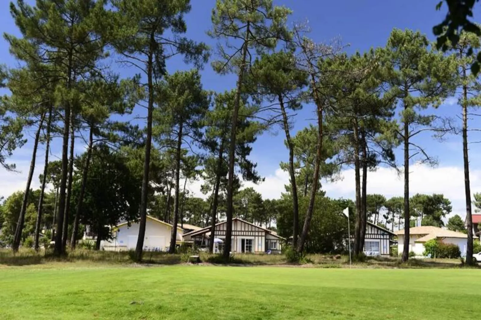 Résidence Prestige Odalys Les Greens du Bassin-Image-tags.