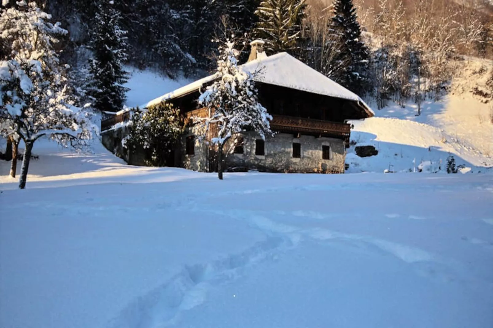 Chalets à Montriond-Image-tags.