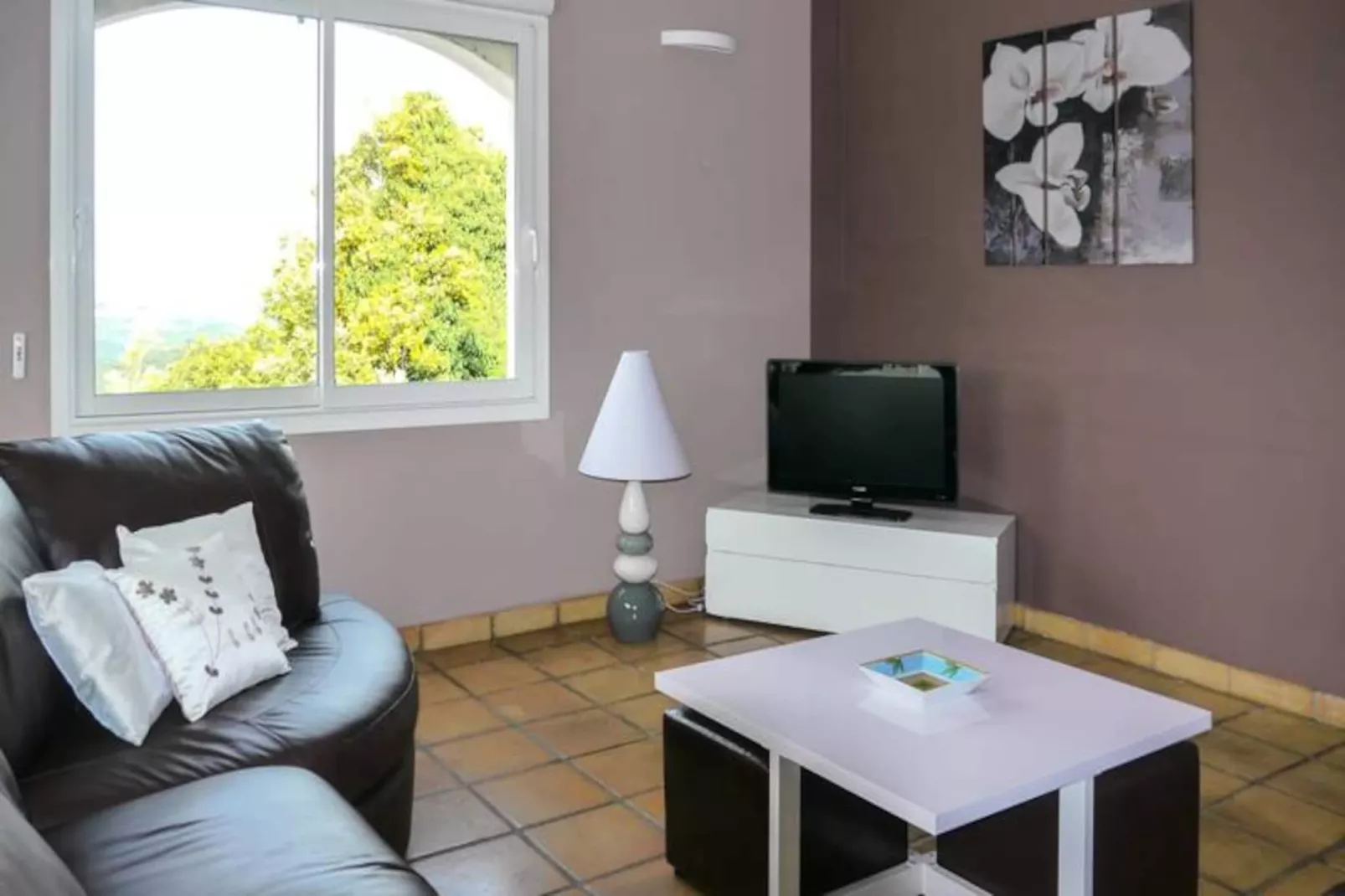 Villa De Campagne - 8 Pers - Vue Sur Les Mimosas-Image-tags.