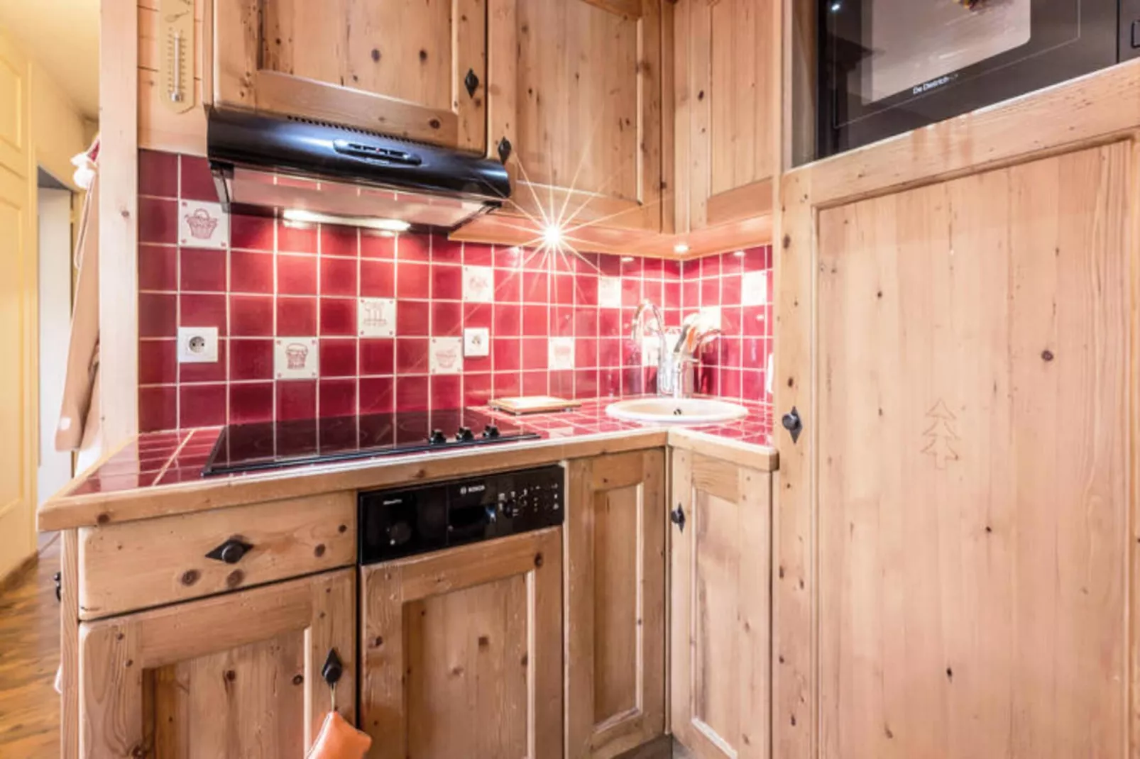 Résidence Viking-Buitenkant zomer