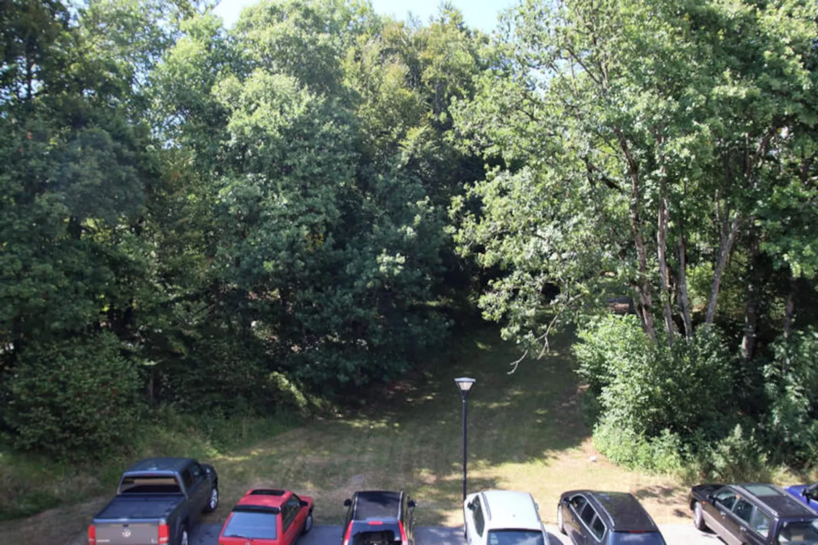 Appartements à Les Carroz-d'Arâches-Image-tags.