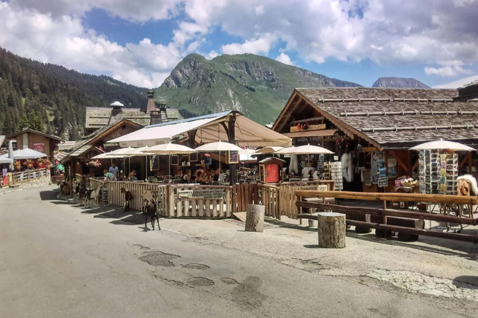 Appartements à Montriond-Gebieden zomer 1km