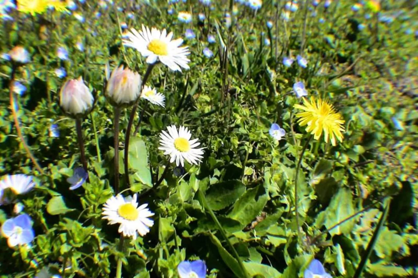 L'oubradou, Mas De Charme, Piscine Partag&eacute;e En Provence, Nature Et Calme-Image-tags.