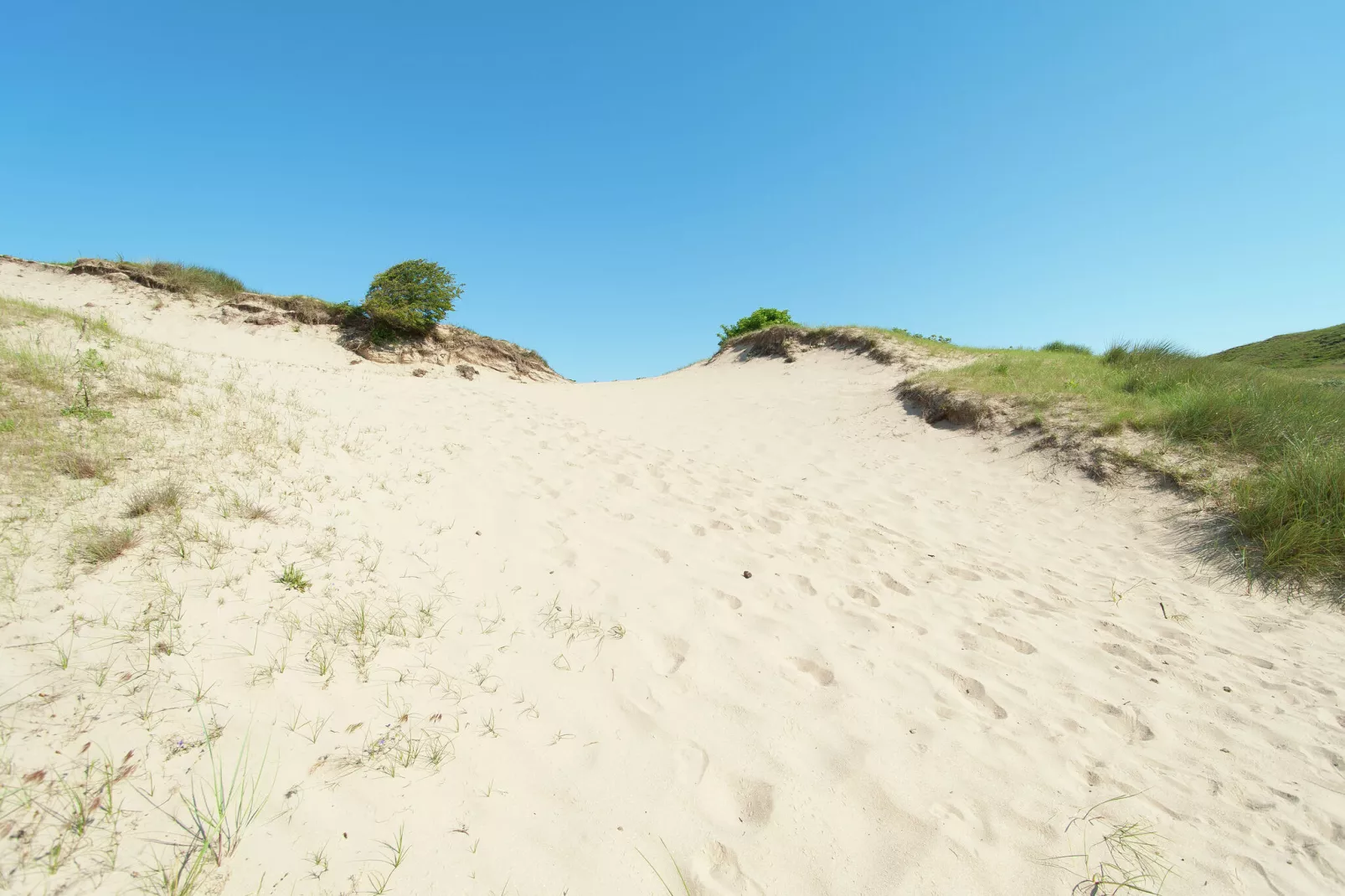 Sea Lodges Bloemendaal 2-Gebieden zomer 20km