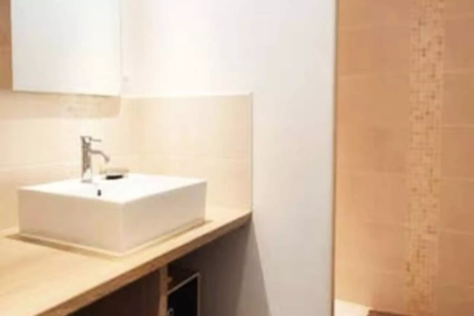 🦁 Place St Sauveur - Standing Et Confort-Image-tags.