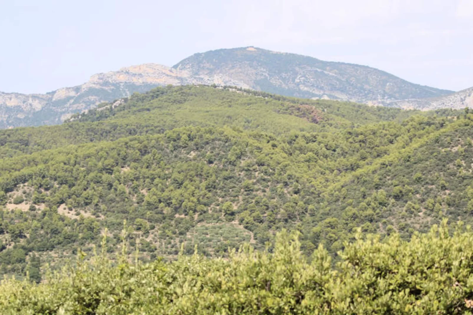 Maison à Mollans sur Ouvèze-Image-tags.
