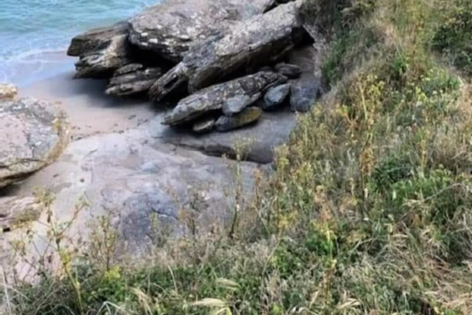 Résidence Studio R&eacute;sidence Des Marronniers-Image-tags.