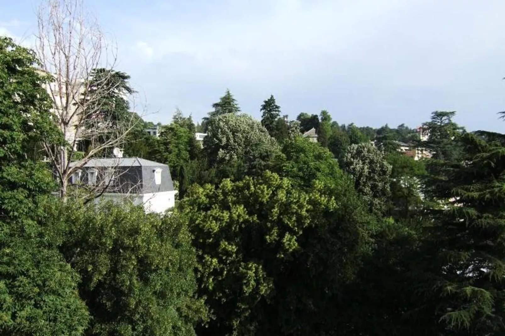 Residence Albion-Gebieden zomer 1km