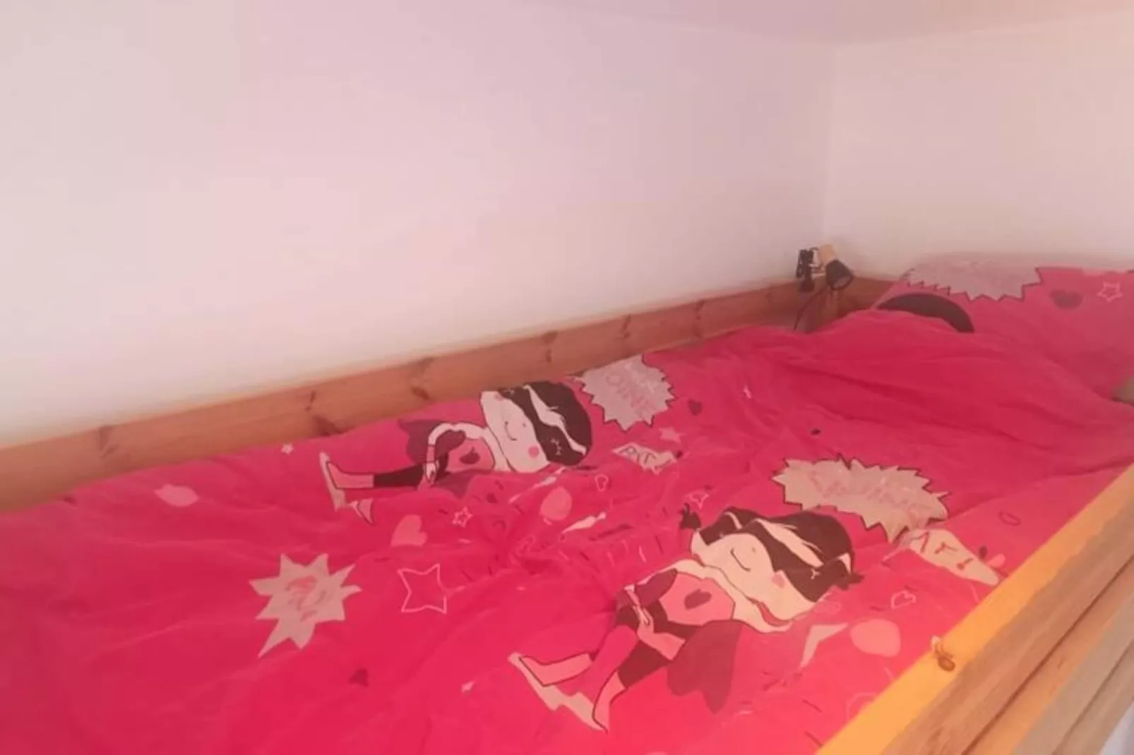 Spacieux Appartement Au Pied Des Pistes-Image-tags.