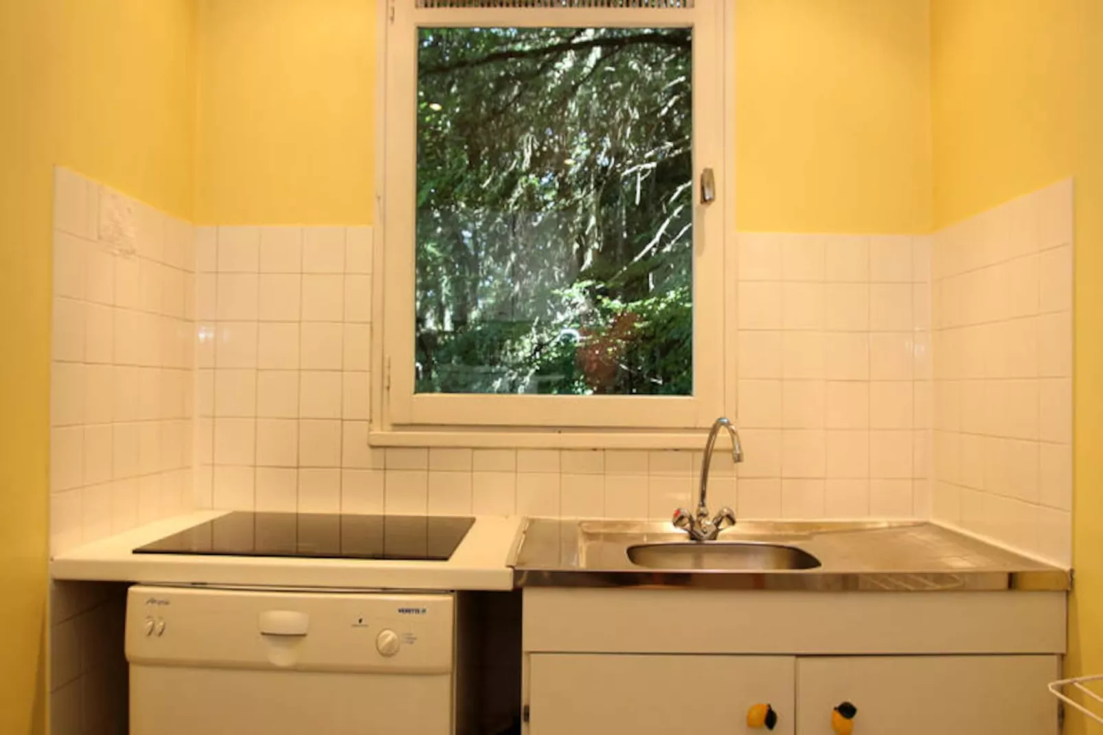 Appartements à Les Carroz-d'Arâches-Image-tags.