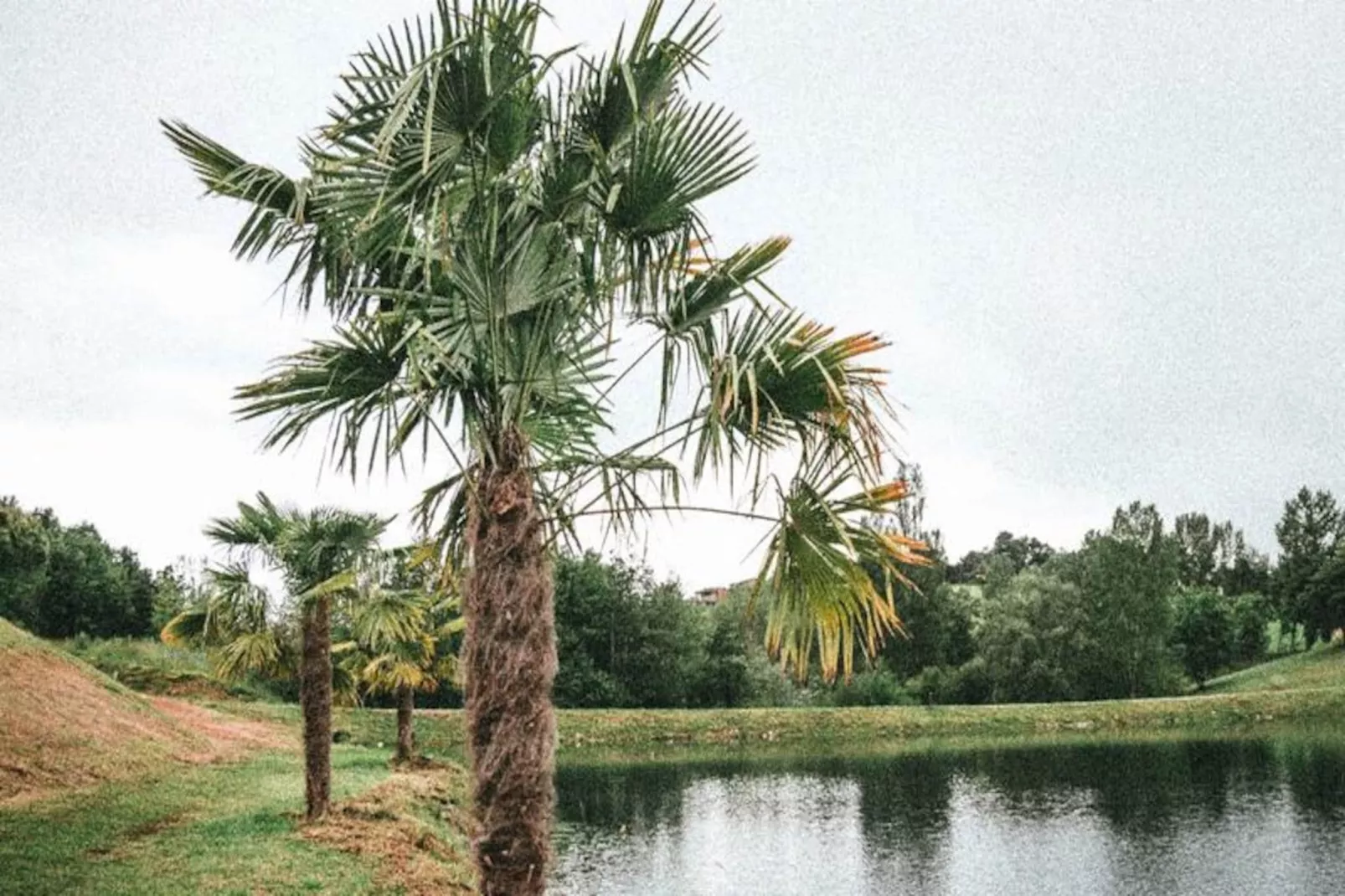 Terres de France -  Hameaux des Lacs-Image-tags.