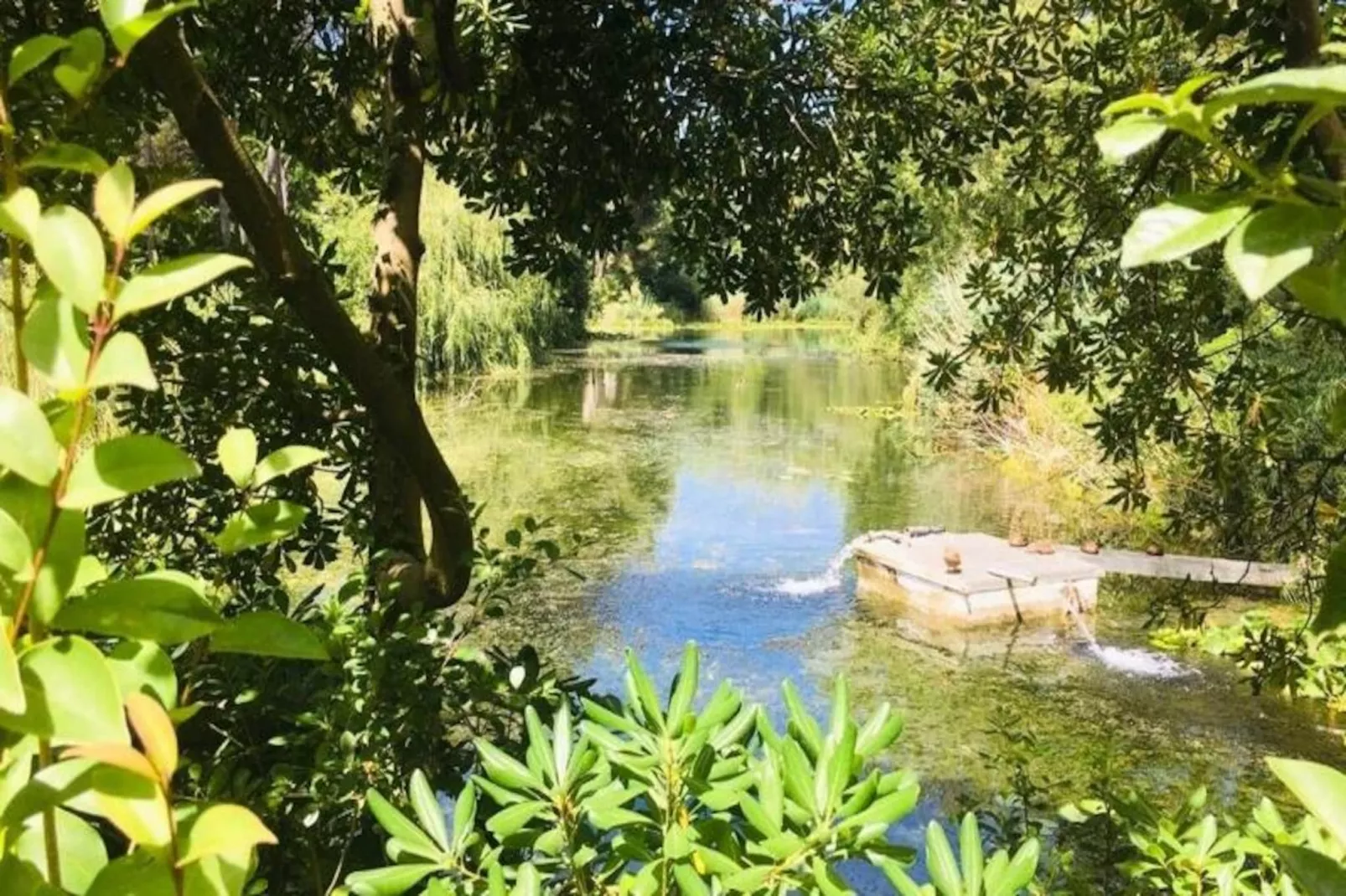 Résidence Cap Vert-Image-tags.