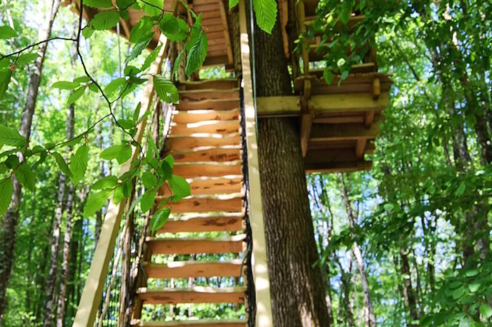 Parc de la Belle-Image-tags.