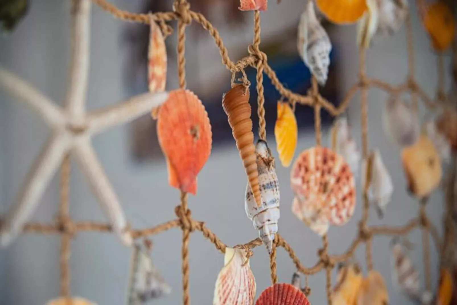 Villa Maracudja-Image-tags.