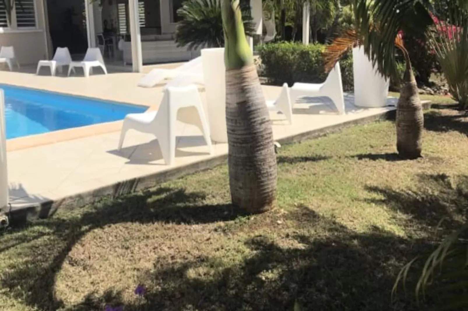 Villa Arbre Du Voyageur-Image-tags.