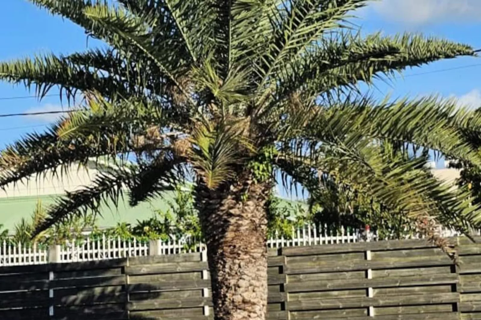 Villa Tyno-Image-tags.