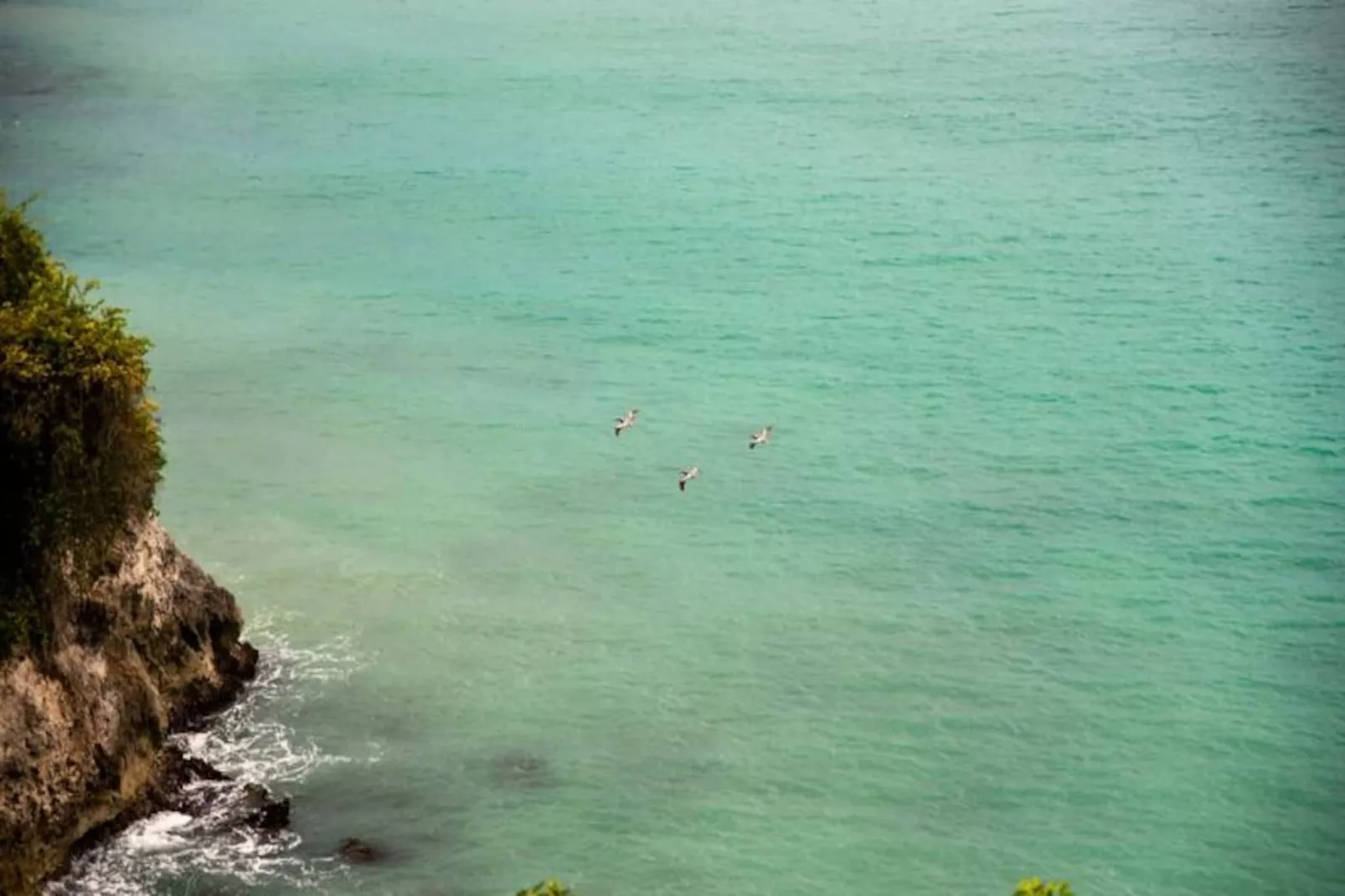 Villa Summer Forever-Image-tags.