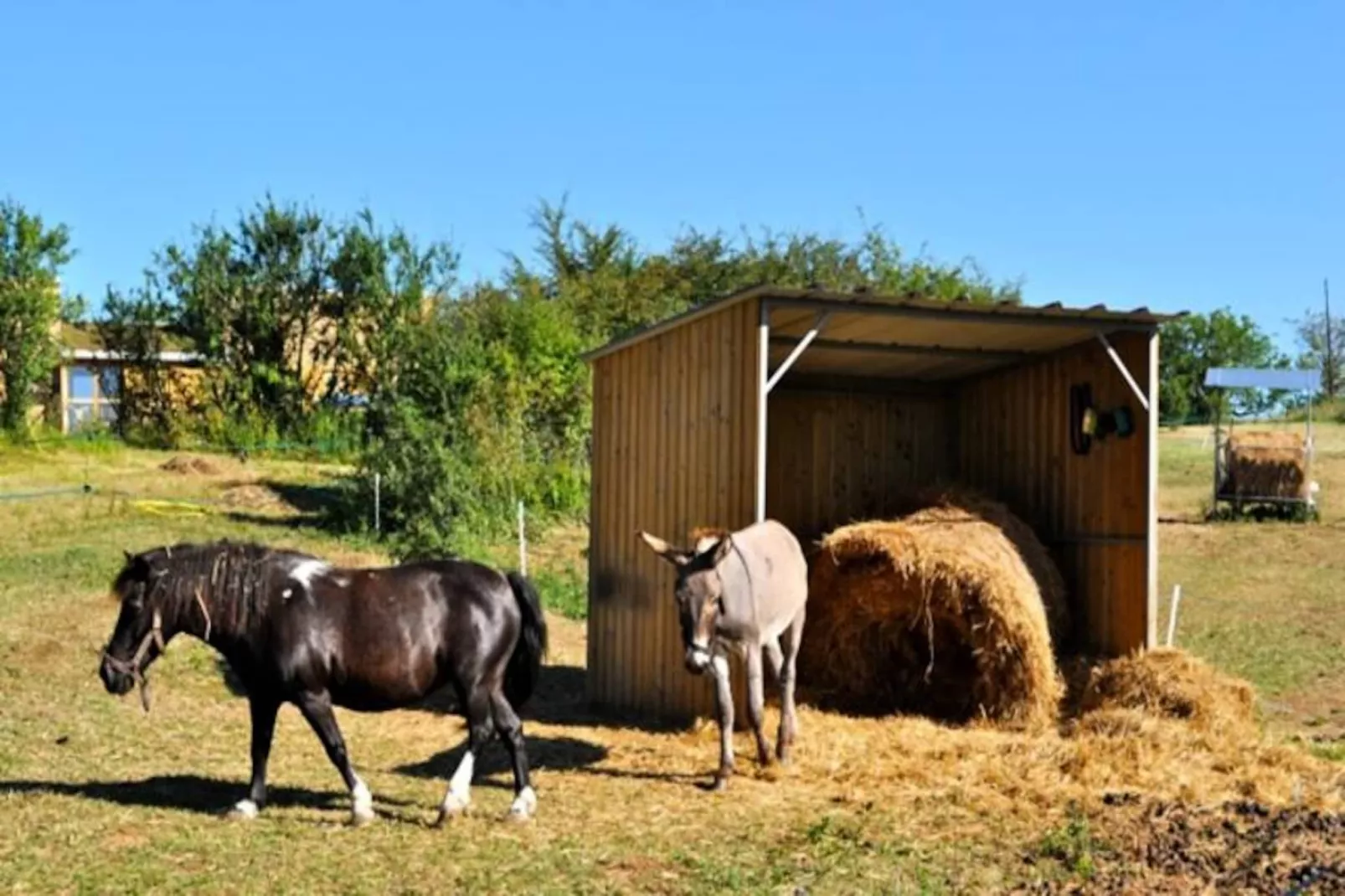 Domaine des Bories ****-Image-tags.