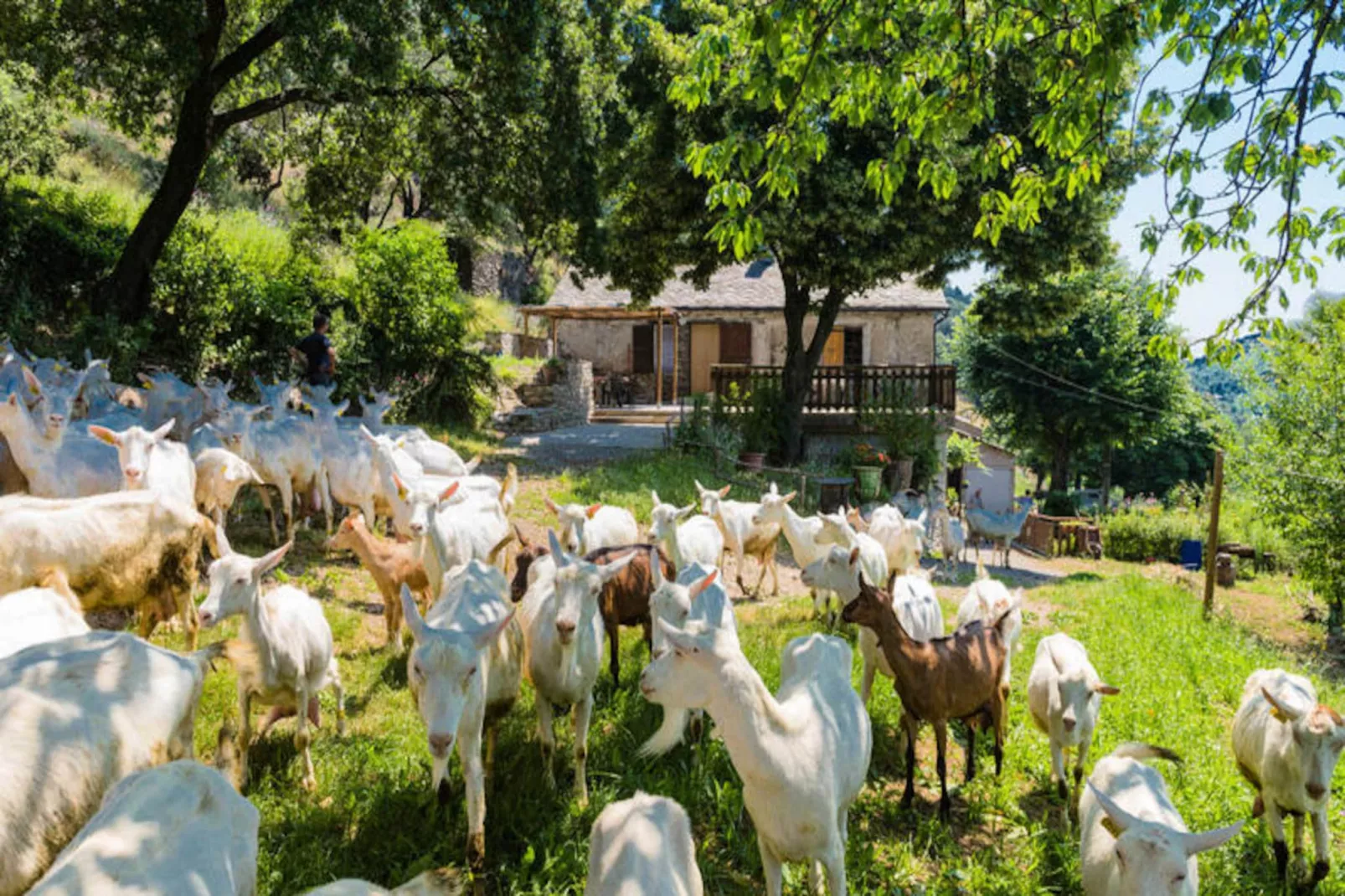 Gîte de France Gîtes de france 4/6 personnes à campéménard 2 épis-Image-tags.