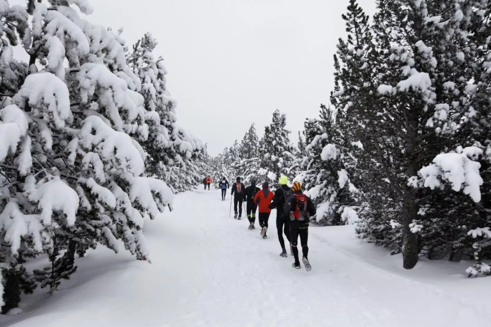Résidence Goélia Le Domaine de Castella***-Gebied winter 5km