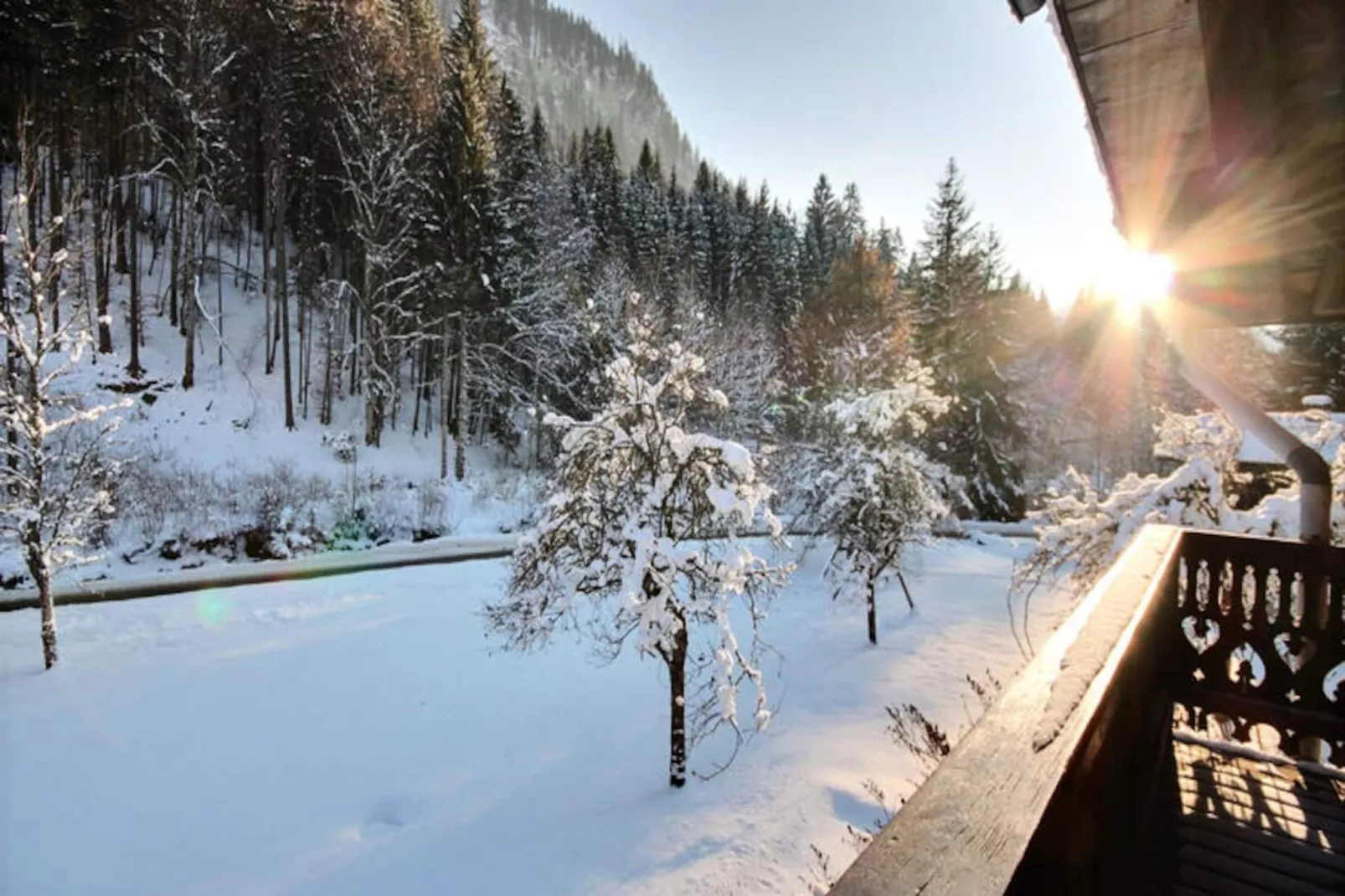 Chalets à Montriond-Image-tags.