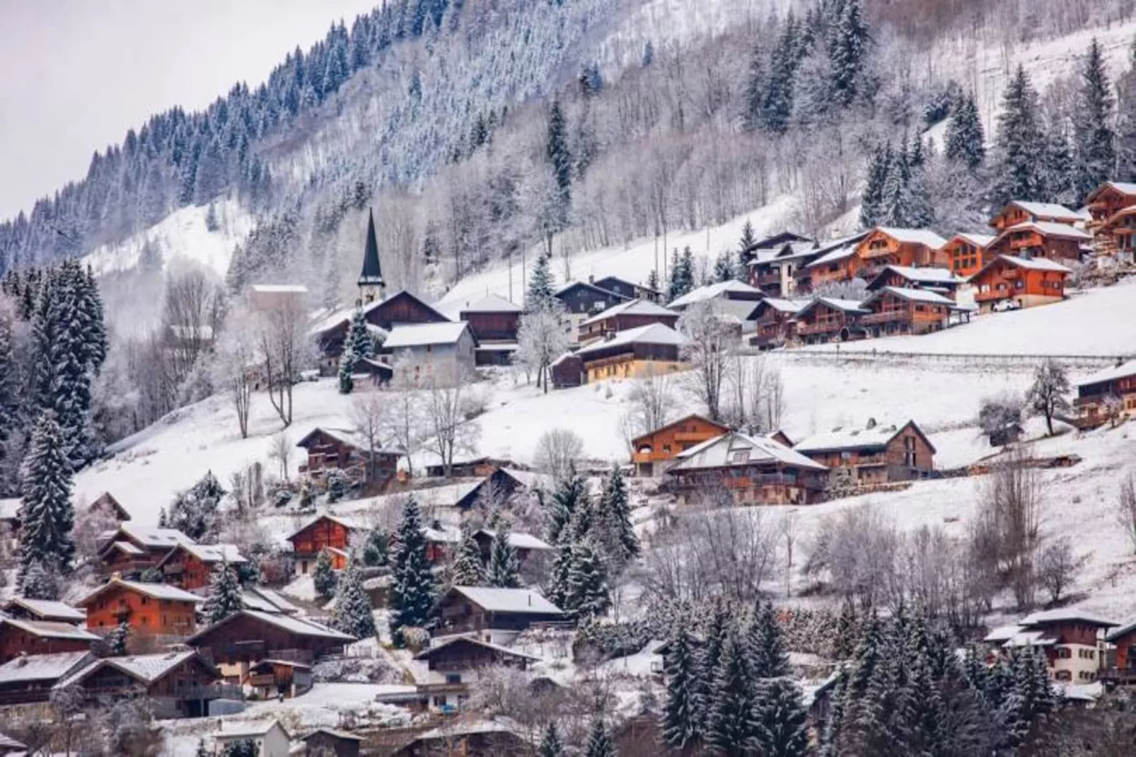 Appartements à Montriond-Gebied winter 5km