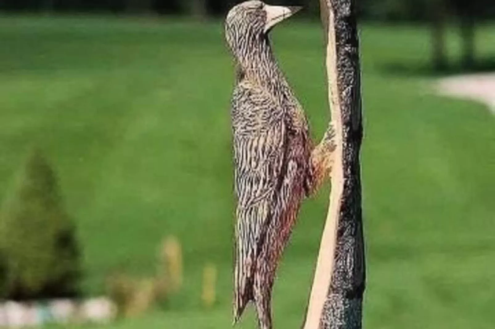 Résidence Cap Vert-Image-tags.