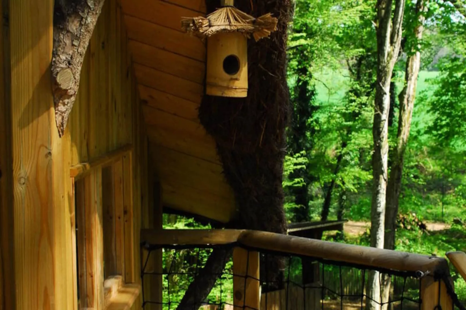 Parc de la Belle-Image-tags.