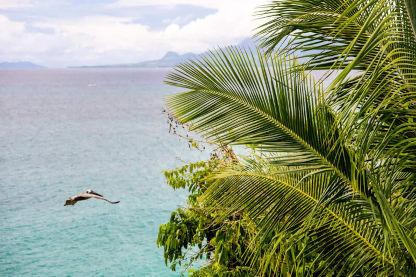 Villa Summer Forever-Image-tags.