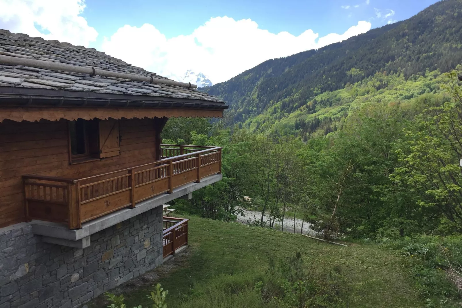 Chalet 3 - SAINT-FRANÇOIS-LONGCHAMP-Uitzicht zomer