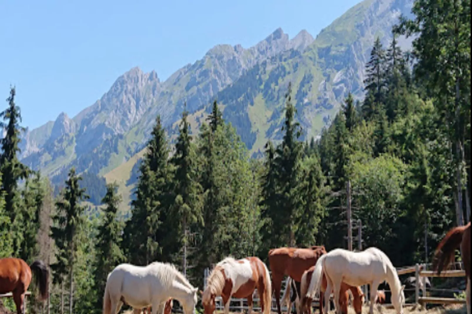Résidence Les Cimes*****-Gebieden zomer 5km