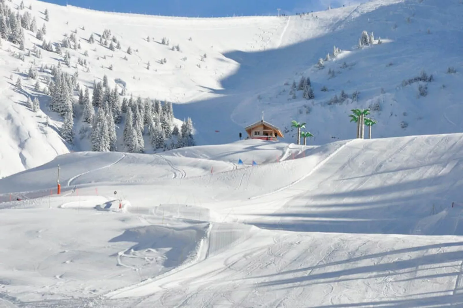 Chalets à Les Carroz-d'Arâches-Image-tags.
